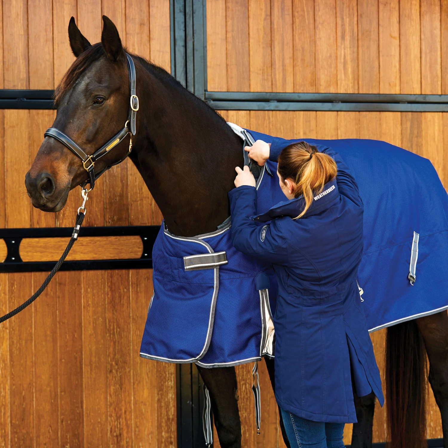 Weatherbeeta Comfitec Premier Free II Medium Lite Detachable Neck Horse Rug (Dark 2 Weatherbeeta Comfitec Premier Free II Medium Lite Detachable Neck Horse Rug (Dark - Image 2