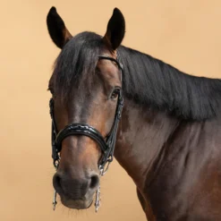 Horse & Pony Dressage Double Bridle 900 -Equestrian Supplies Store k046352091609e3e4789d323e3b2fc3aa