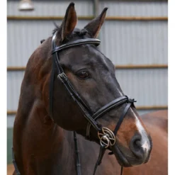EASTWOOD RAISED FLASH BRIDLE WITH REINS
