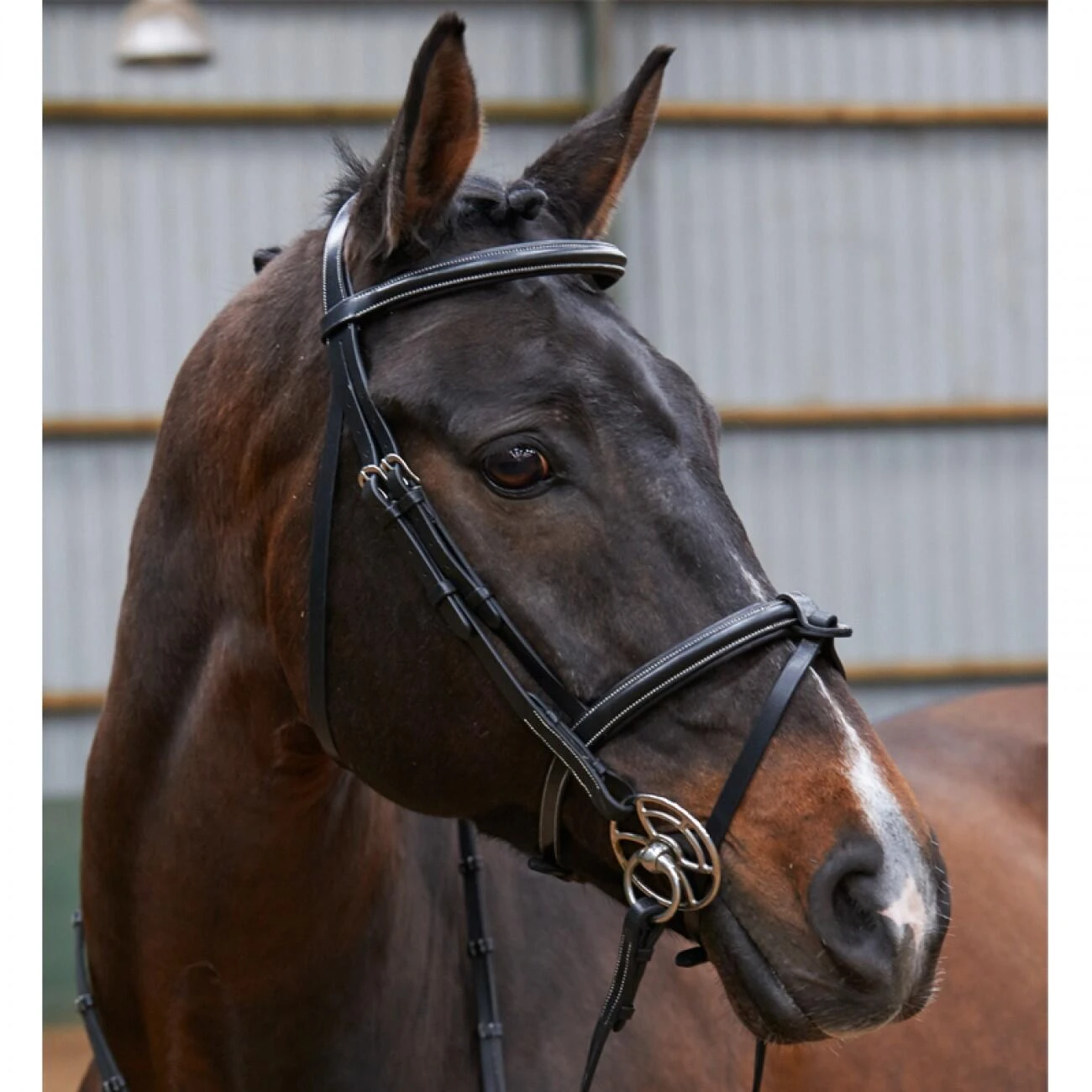 EASTWOOD RAISED FLASH BRIDLE WITH REINS 1 EASTWOOD RAISED FLASH BRIDLE WITH REINS