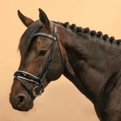 Horse & Pony Dressage Bridle 900 -Equestrian Supplies Store k10604c6fd3f89112830136794ccf7de0