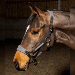 HAREWOOD HEADCOLLAR 5 HAREWOOD HEADCOLLAR -Equestrian Supplies Store k16b31e90d001532fb7bb5c3f78dd6010