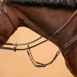 5-Point Hunting Martingale For Horse & Pony -Equestrian Supplies Store k18864c93c9a66ed88cc11addf8690a53