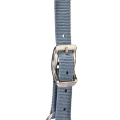 Horse Riding Halter + Leadrope Set - Nubuck/Blue -Equestrian Supplies Store k19dff28454aaf9ad1caebfde1dbe39fa scaled