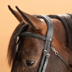 Horse & Pony Leather Bridle With French Noseband 580 -Equestrian Supplies Store k1b6ed42082c2cd1f4bf1bbcc8c25f11e