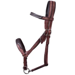 Trail Horse Riding Bridle / Halter And Reins Escape - Brown 34 Trail Horse Riding Bridle / Halter And Reins Escape - Brown -Equestrian Supplies Store k1bd2030751ce6bdf72631e3980c0e649