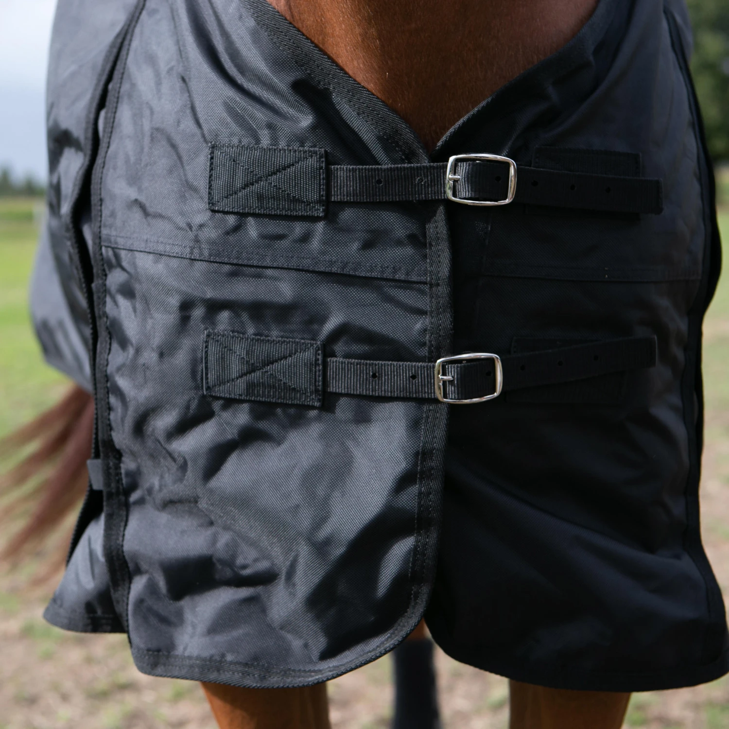 Outdoor Waterproof Rug For Horses Allweather 50 6 Outdoor Waterproof Rug For Horses Allweather 50 - Image 6