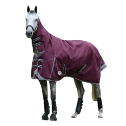 Weatherbeeta Comfitec Plus Dynamic II Combo Neck Medium Lightweight Horse Turnout Rug -Equestrian Supplies Store k1e12e58681075747834e0152d6305ab8