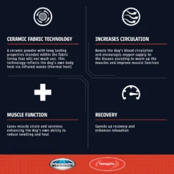 Weatherbeeta Comfitec Channel Quilt Therapy Tec Detachaneck Medium Rug (Black/Silver/Red) -Equestrian Supplies Store k2300edc635c05b1e9d4c212d5d00d173