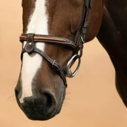 Horse & Pony Leather Bridle With French Noseband 580 -Equestrian Supplies Store k241677c16f449a6be1707bcb07929f2c