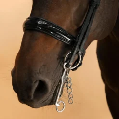 Horse & Pony Dressage Double Bridle 900 -Equestrian Supplies Store k27e605c041f895fdef5dbf662b45645c