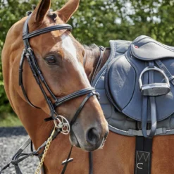 Barton Raised Flash Bridle Includes Rubber Reins -Equestrian Supplies Store k28be04e8c32651582db76d1ab50aecb9