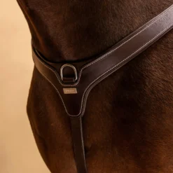 5-Point Hunting Martingale For Horse & Pony -Equestrian Supplies Store k2b5b694548eabd897bb4de68303b4516