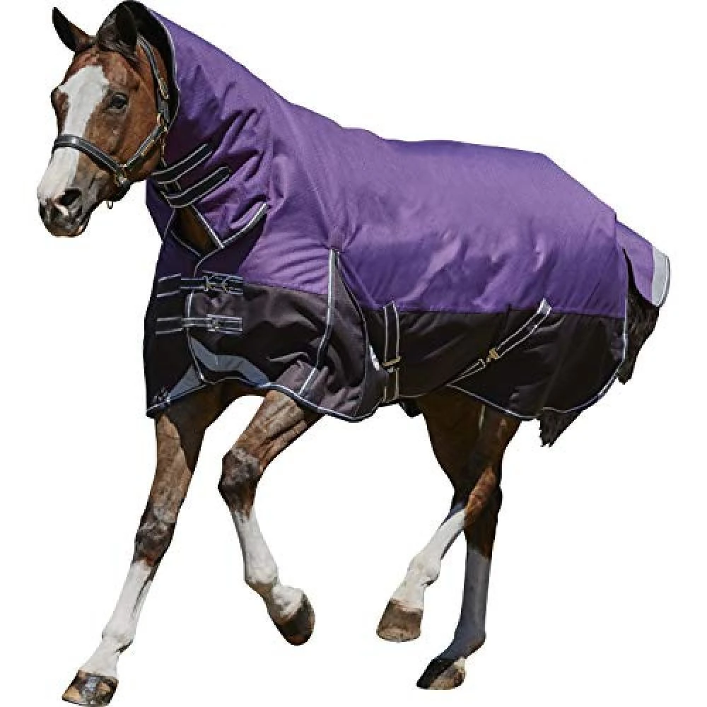 Weatherbeeta Comfitec Plus Medium/Lite Dynamic Combo Neck Rug (Purple/Black) 1 Weatherbeeta Comfitec Plus Medium/Lite Dynamic Combo Neck Rug (Purple/Black)