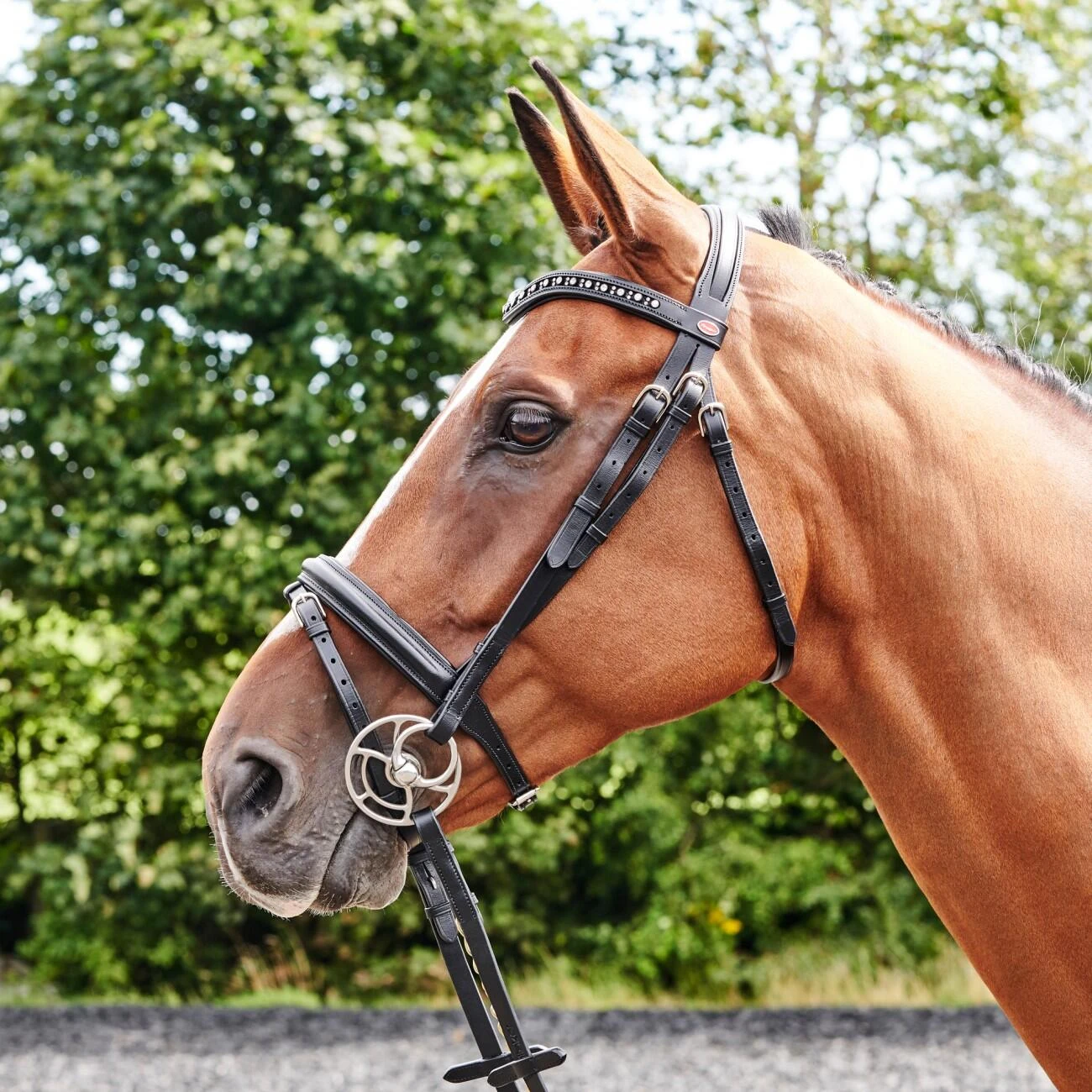 Lynton Flash Bridle With X2 Browbands 1 Lynton Flash Bridle With X2 Browbands