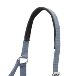 Horse Riding Halter + Leadrope Set - Nubuck/Blue -Equestrian Supplies Store k3259298ab40eb34366c7f062860d165e scaled