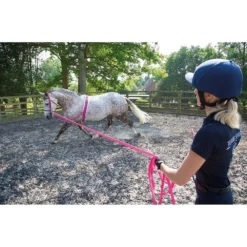 Fleece Padding Nylon Horse Lunging Roller (Black) -Equestrian Supplies Store k35d43ec75cd6f754b755ff500a171512