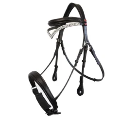 Lynton Snaffle Bridle With X2 Browbands -Equestrian Supplies Store k36579c3e0947682b9013cf3ccce13e59