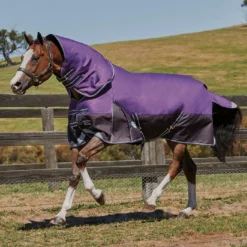Weatherbeeta Comfitec Lite Plus Dynamic DetachANeck Turnout Rug (Purple/Black) -Equestrian Supplies Store k387ff23e461fda1975adf26c9e77f455