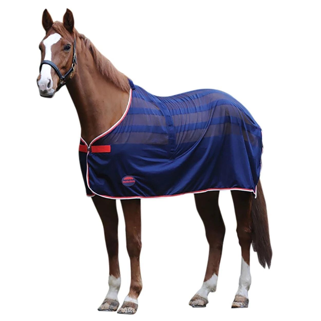 Weatherbeeta Scrim Cooler Standard Neck Rug (Navy/Red/White) 1 Weatherbeeta Scrim Cooler Standard Neck Rug (Navy/Red/White)