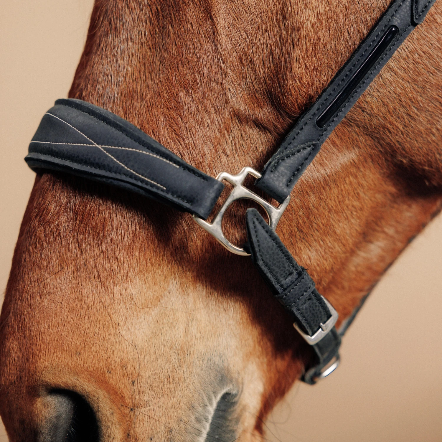 Horse Riding Synthetic Leather Halter For Horse & Pony 500 3 Horse Riding Synthetic Leather Halter For Horse & Pony 500 - Image 3