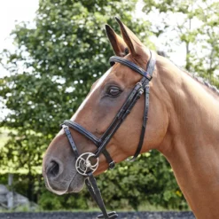 Barton Raised Flash Bridle Includes Rubber Reins -Equestrian Supplies Store k3d36d1279d2dd4c4d457a46ad2d4e6a0