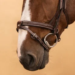 Horse Riding Leather Bridle With French Noseband For Horse & Pony 900 -Equestrian Supplies Store k3f3f4ef5b114f71ee30f2dfc83d63ef5
