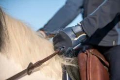 560 Kids' Horse Riding Gloves -Equestrian Supplies Store k3fd4fdab1a51a533bb5fbf54ac4ed94a scaled