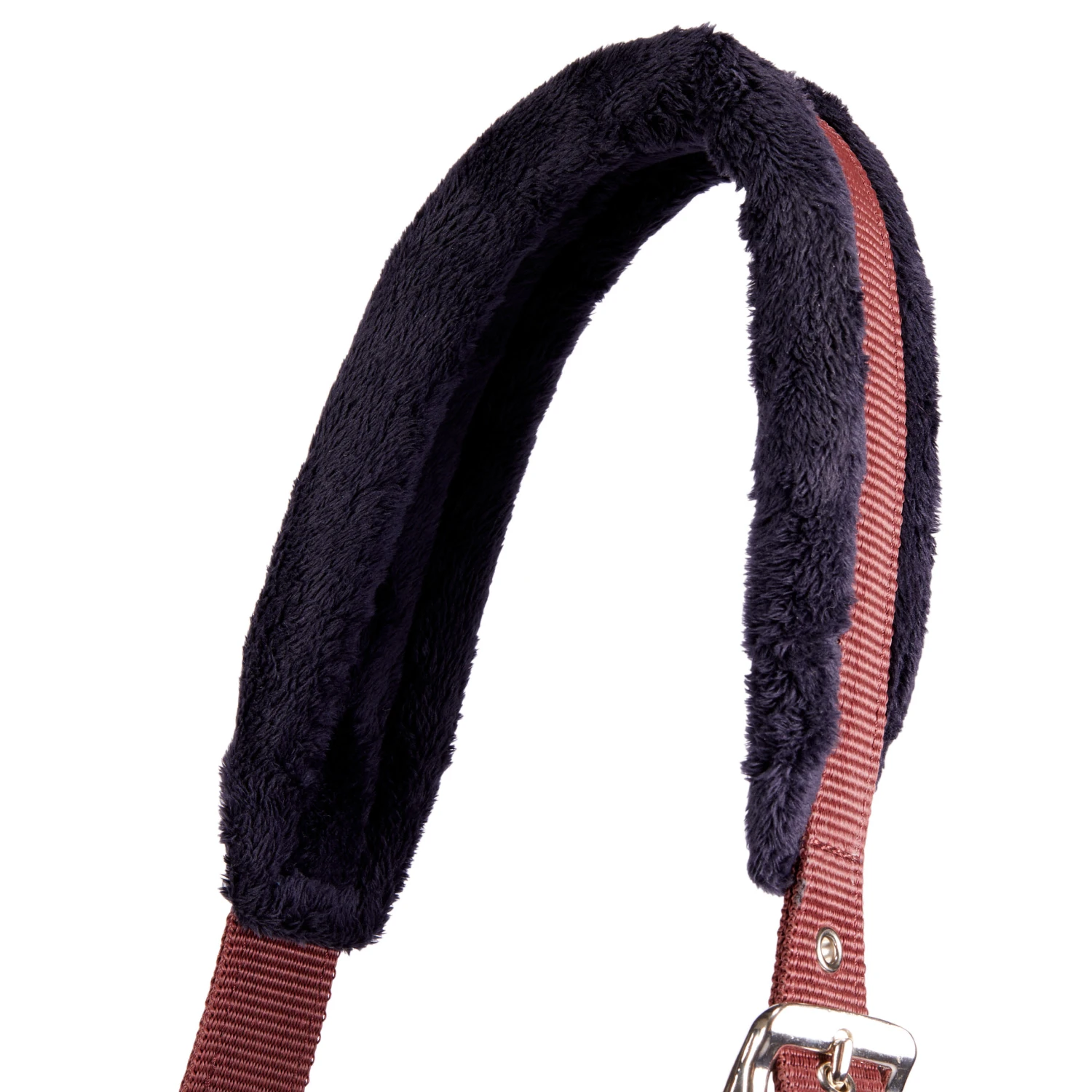 Winner Horse Riding Halter For Horse And Pony 6 Winner Horse Riding Halter For Horse And Pony - Image 6