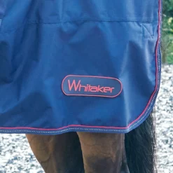 Rastrick 250G Combo Turnout Rug 9 Rastrick 250G Combo Turnout Rug -Equestrian Supplies Store k42a392ebb3d1dd2be42af4d50b96e64b