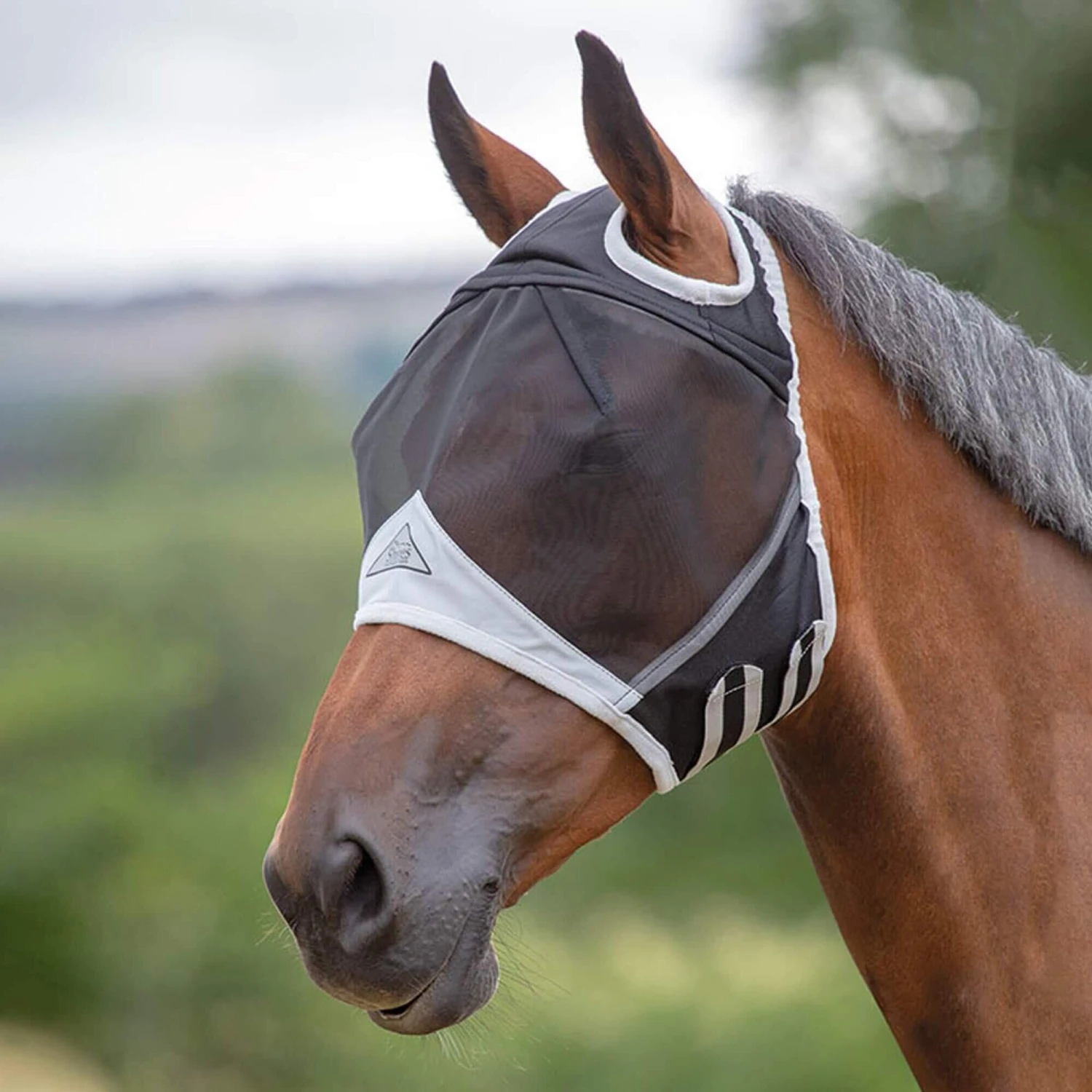 Fine Mesh Ear Holes Horse Fly Mask (Black) 2 Fine Mesh Ear Holes Horse Fly Mask (Black) - Image 2
