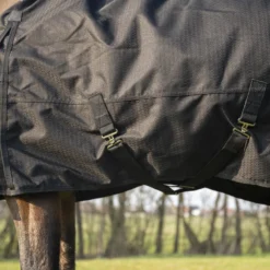 Horse Riding Waterproof Rug 1000D For Horse And Pony Allweather 200g 18 Horse Riding Waterproof Rug 1000D For Horse And Pony Allweather 200g -Equestrian Supplies Store k46817b8dc4b38d2a8226a64d4da95dca