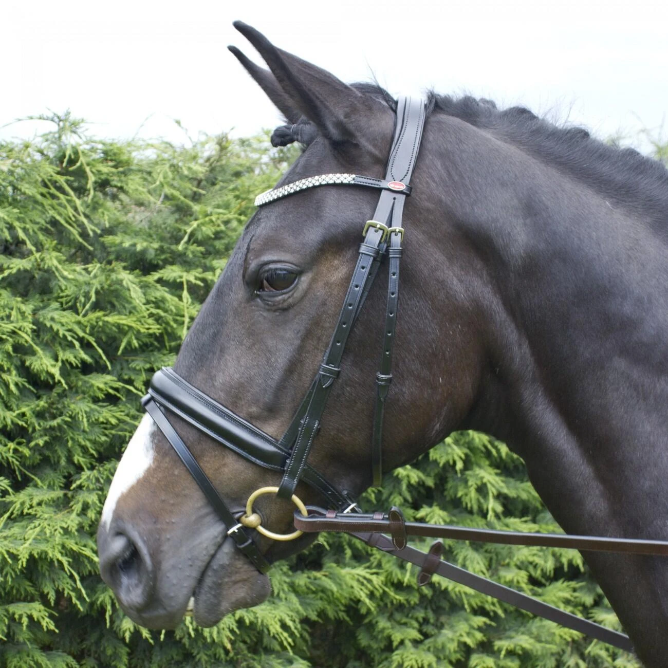 Barton Bling Flash Bridle With Rubber Reins 1 Barton Bling Flash Bridle With Rubber Reins