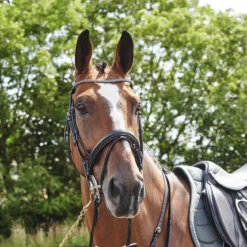 Barton Bling Flash Bridle With Rubber Reins 13 Barton Bling Flash Bridle With Rubber Reins -Equestrian Supplies Store k4b42d237d4b37d06960a6b604658ebd7