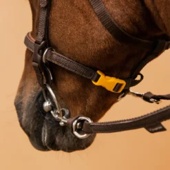 Horse Riding Synthetic Beginner Pony Bridle And Reins 100 -Equestrian Supplies Store k4be46a14baadf9e5bddee9a42ab515d4