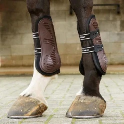 Bingley Tendon And Fetlock Boots -Equestrian Supplies Store k4f4e2de2047694aef34b1d2024287456