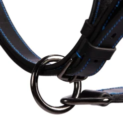 Horse And Pony Riding Leather Halter Performer -Equestrian Supplies Store k4f8576a6d883e57d2d3b48ca12430f9c