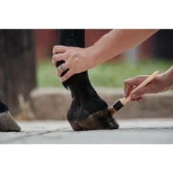 Natural Hoof Grease For Horse And Pony Top Ointment 750 Ml - Blond 9 Natural Hoof Grease For Horse And Pony Top Ointment 750 Ml - Blond -Equestrian Supplies Store k5403cb25298235d7a785a0d95df29105