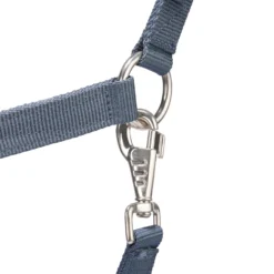 Horse Riding Halter + Leadrope Set - Nubuck/Blue -Equestrian Supplies Store k56e8cfa9df8ae63aff61995eada2409e scaled
