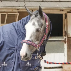 AIRFLOW HEAD COLLAR WITH LEADROPE SET -Equestrian Supplies Store k5759a33801e4ccd6d5ebee619cc2a54c