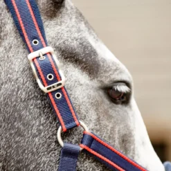AIRFLOW HEAD COLLAR WITH LEADROPE SET -Equestrian Supplies Store k578de15be2b3d7dd585af1a4329902fb
