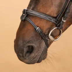 Horse & Pony Leather Bridle With French Noseband 580 -Equestrian Supplies Store k5ab11b53fd964453c48172b6390d78cd