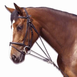 Horse Riding Schooling Gogue For Pony -Equestrian Supplies Store k5bb49fe30b6ac042080beb9699d5f458