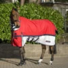 Rastrick Combo Airflow Fly Rug And Turnout