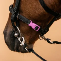 Horse Riding Synthetic Beginner Pony Bridle And Reins 100 -Equestrian Supplies Store k6e2e7709eee6b445462869461b8d96b9