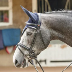 EASTWOOD CRANK BRIDLE INCLUDING REINS -Equestrian Supplies Store k70d9649259ca05fd3d3efe0293f86e89