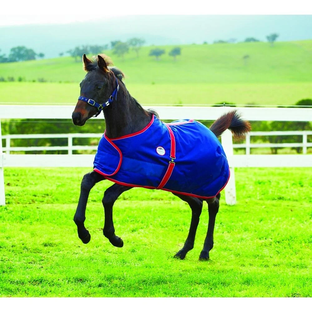 Weatherbeeta 1200d Foal Standard Neck Rug (Navy/Red/White) 2 Weatherbeeta 1200d Foal Standard Neck Rug (Navy/Red/White) - Image 2