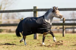 Imper 200 600D Horse Riding Rug For Pony -Equestrian Supplies Store k72553da92fba0ad289de357e43ae6f68 scaled