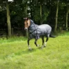 Horse Riding Fly Sheet For Horse & Pony Comfort