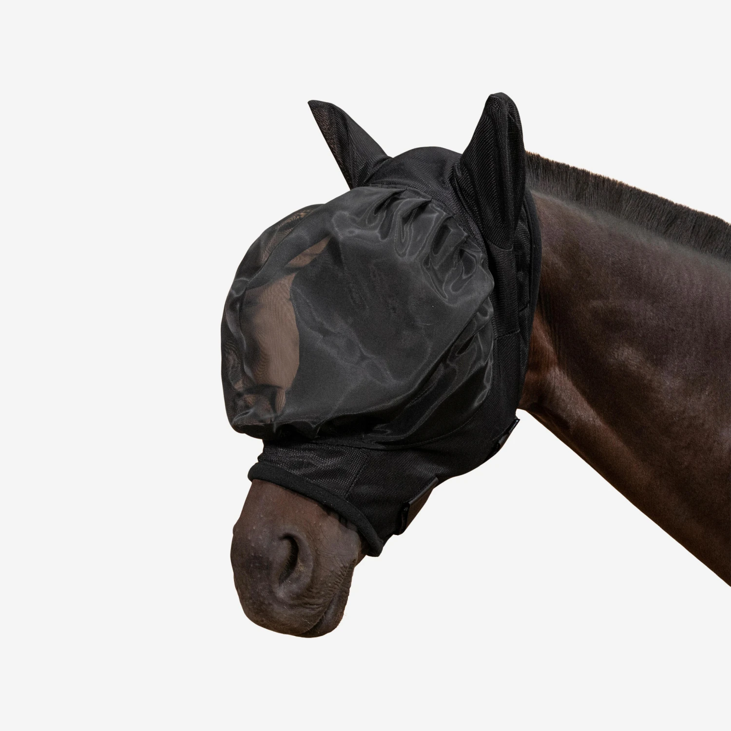 Horse Riding Fly Mask For Horse 500 1 Horse Riding Fly Mask For Horse 500